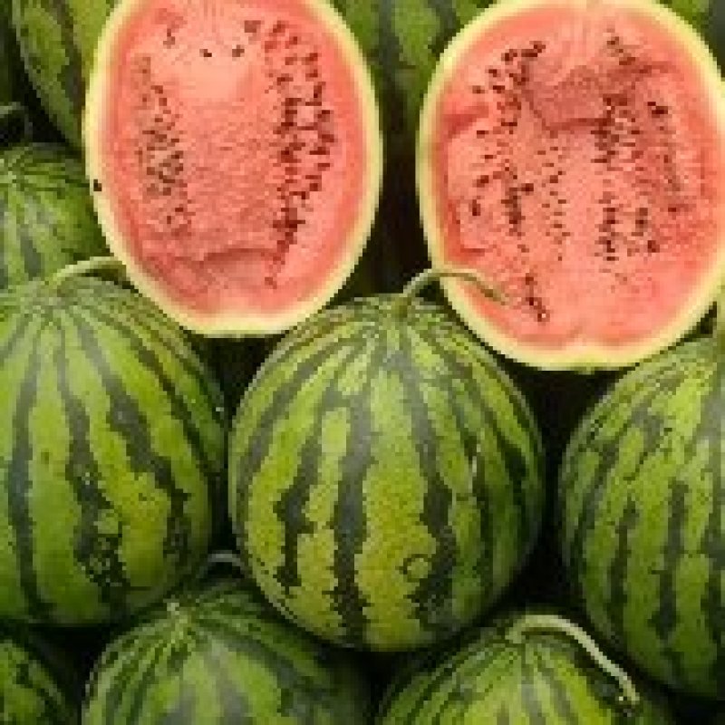 甜王西瓜大量上市了