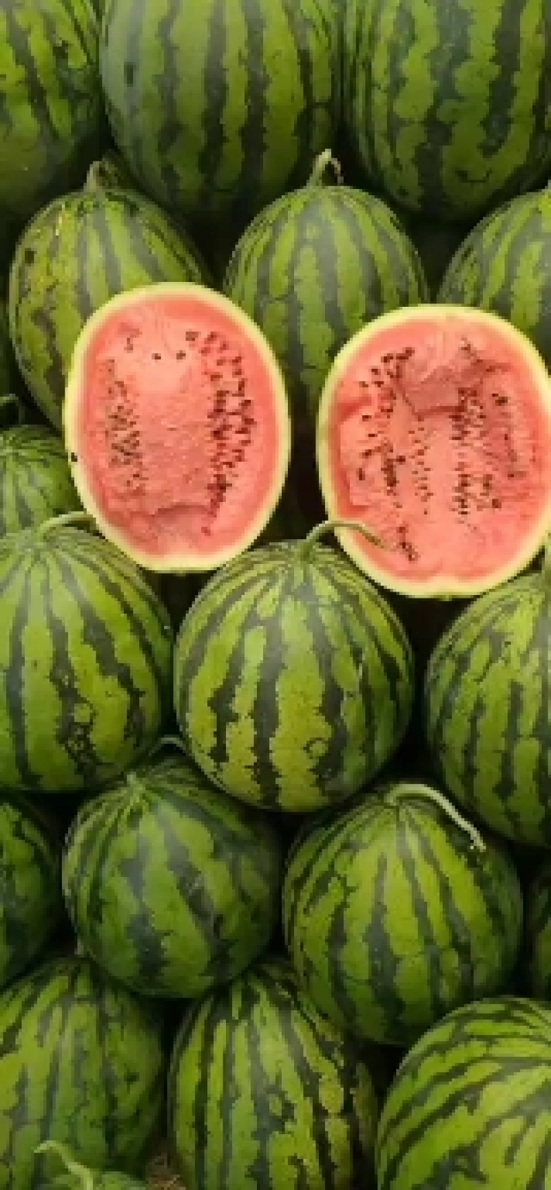 甜王西瓜大量上市了