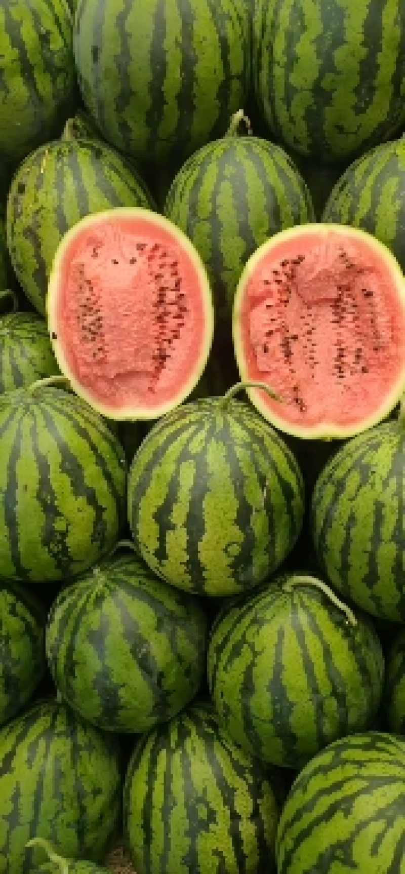 甜王西瓜大量上市了