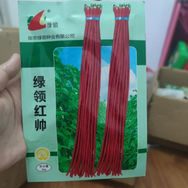 绿领红帅红豇豆种子，30克，红条，荚长1米左右