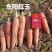 【高品质】东阳红玉胡萝卜种子日本引进特级三红基地专用