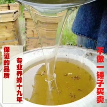 蜂蜜纯正天然百花蜜土蜂蜜农家自养液态蜜蜜城小源土蜂糖蜂农