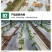 白地膜保温保湿特殊规格可定制源头厂家量大优惠