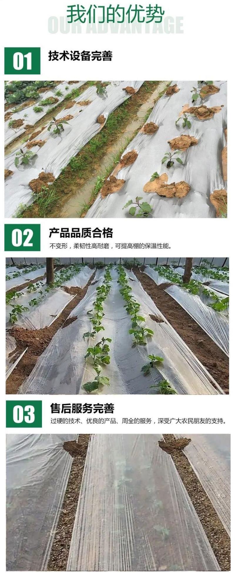 白地膜保温保湿特殊规格可定制源头厂家量大优惠
