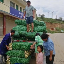 茭白