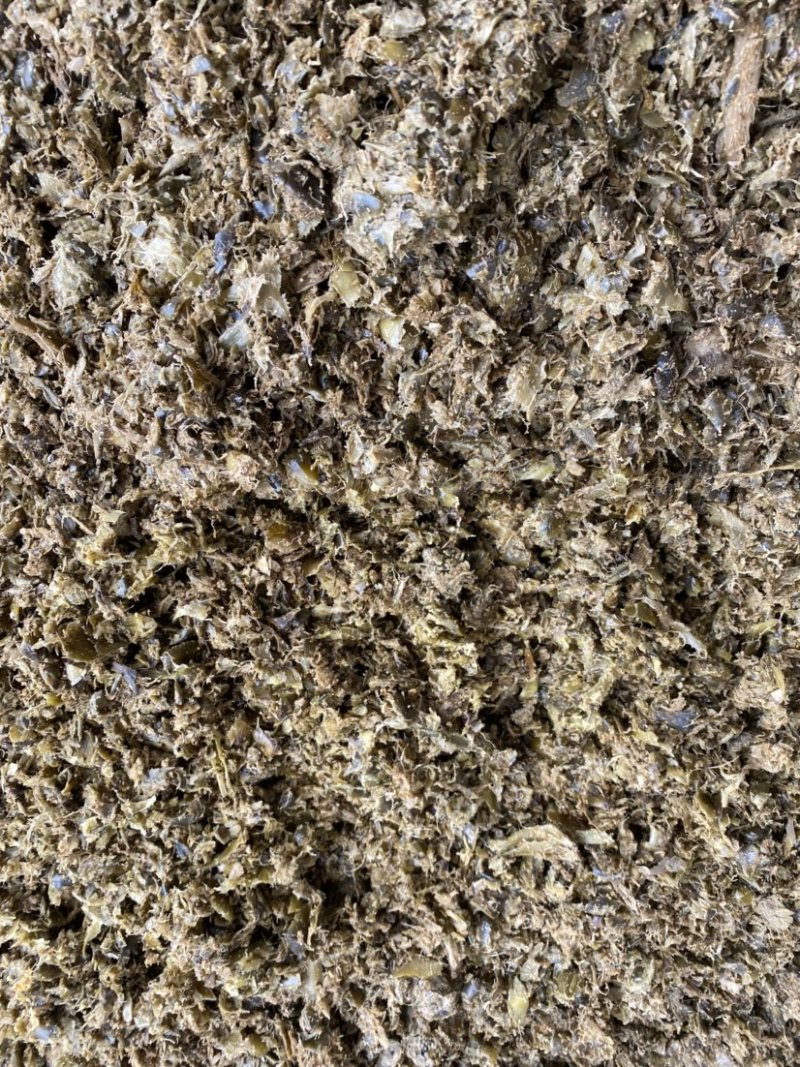 广东湛江水产饲料益生菌发酵菠萝渣粉末水分5%~8%