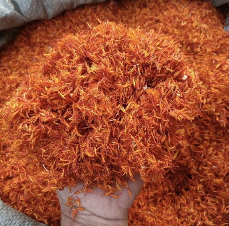 河南洛阳宜阳1200亩红花