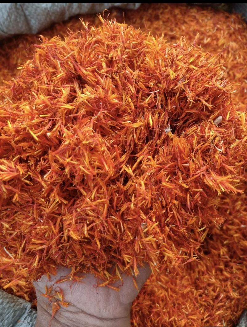 河南洛阳宜阳1200亩红花