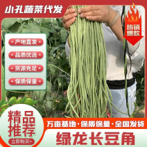 【产地直发】精品长豆角豇豆大量上市中一手货源支持全国代发