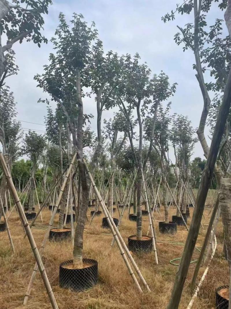 大量现货有有需要的老板请联系