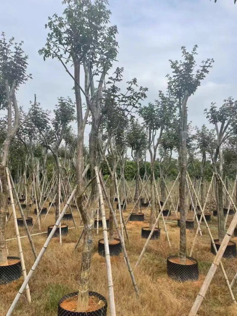 大量现货有有需要的老板请联系
