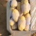 山东土豆【推荐】肥城市荷兰十五土豆箱装袋装规格齐全，全国发货