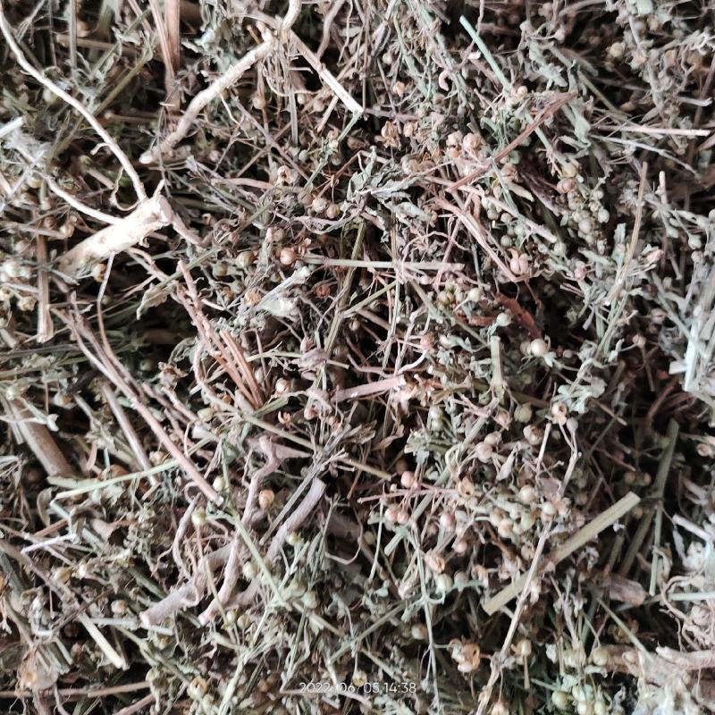 野生中草药冰糖草土甘草四时茶米碎草无硫无提取干品