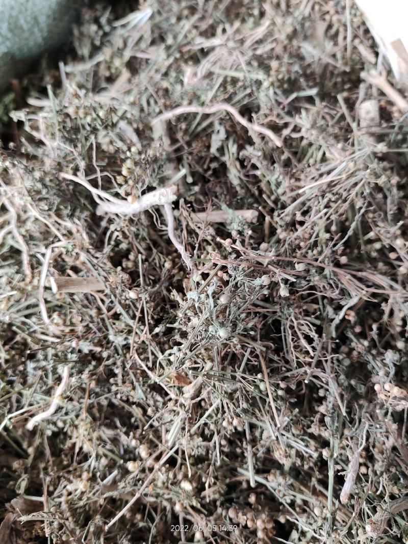 野生中草药冰糖草土甘草四时茶米碎草无硫无提取干品