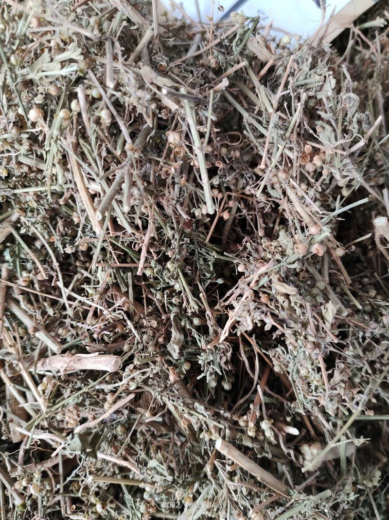 野生中草药冰糖草土甘草四时茶米碎草无硫无提取干品