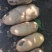 沃土土豆大量上市中，物美价廉欢迎新老客户光临