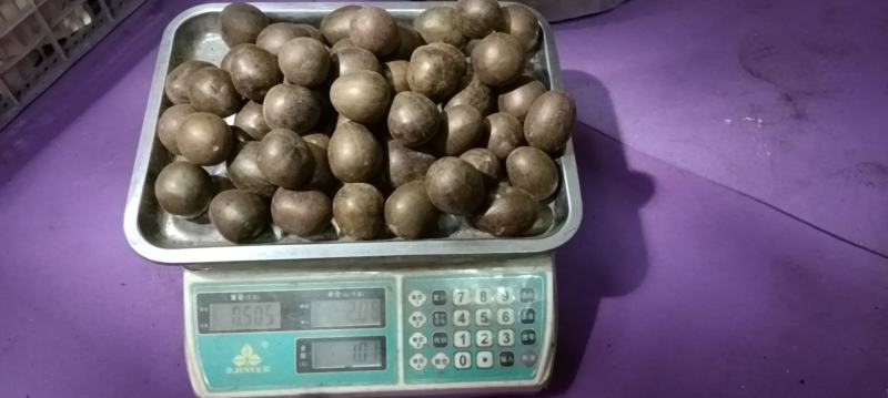 罗汉果外果大量供应，35到40，40到44，44到48，