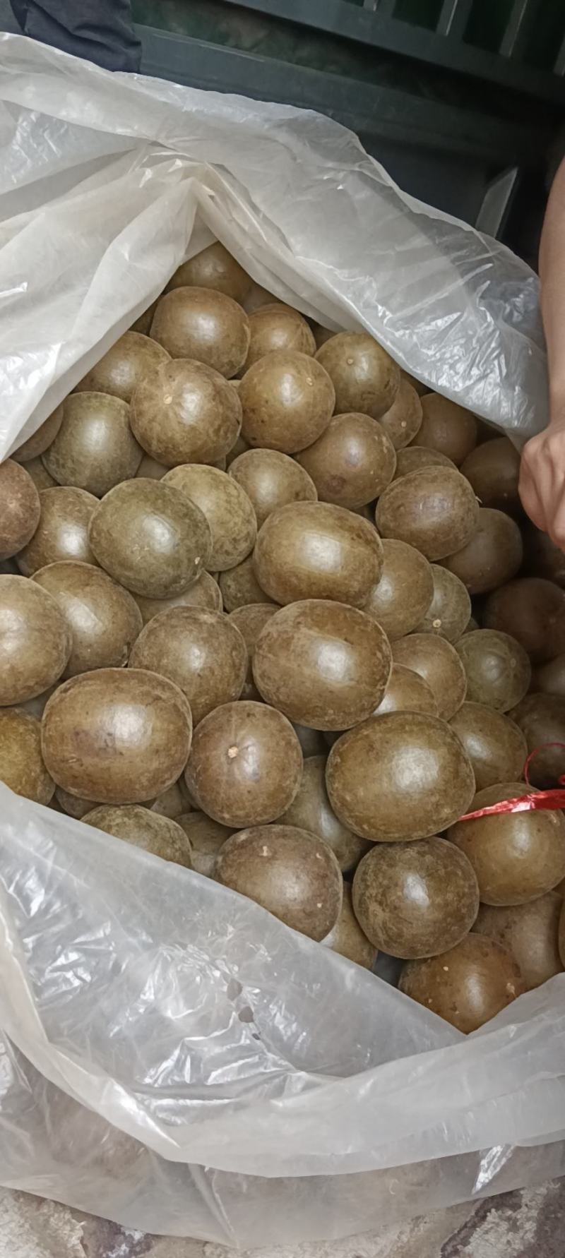 罗汉果外果大量供应，35到40，40到44，44到48，