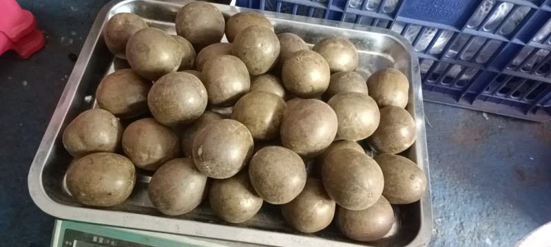 罗汉果外果大量供应，35到40，40到44，44到48，