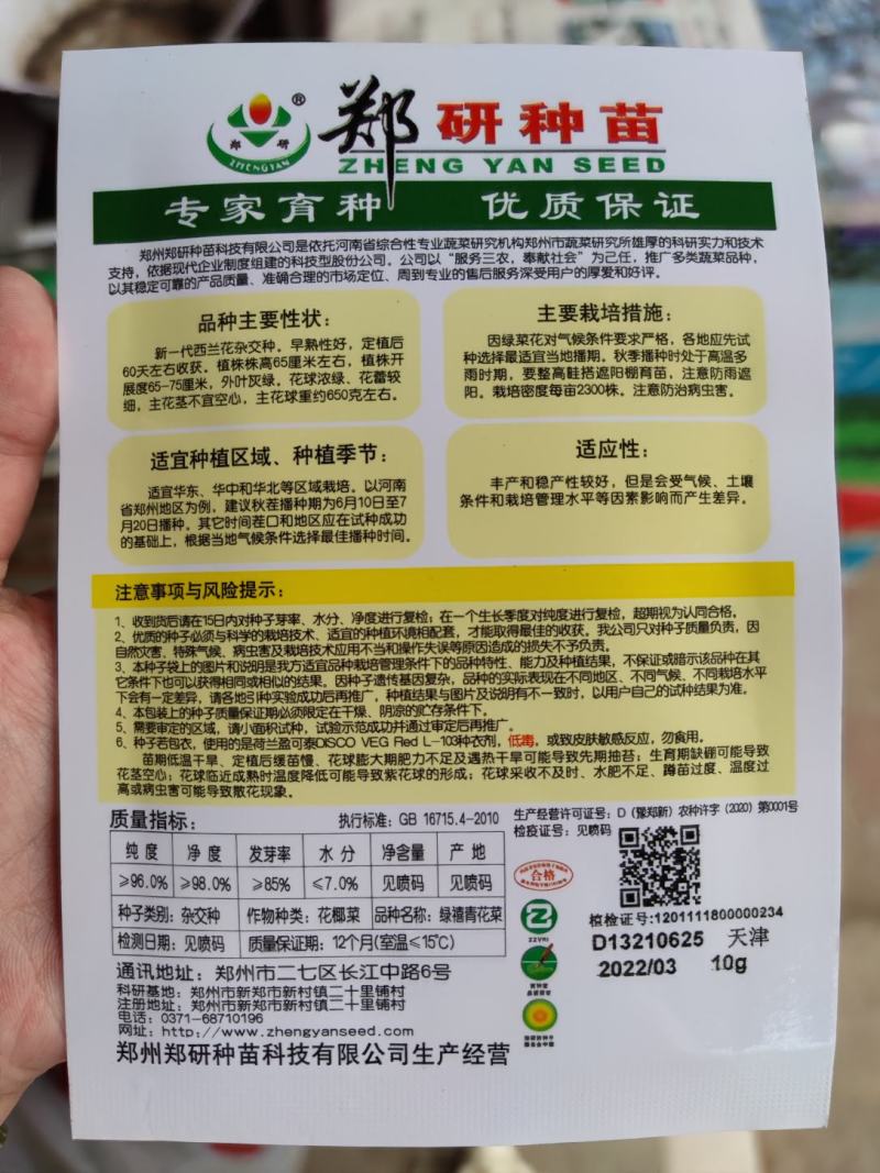 郑研绿禧西兰花种子，1000粒，花球浓绿，花蕾较细