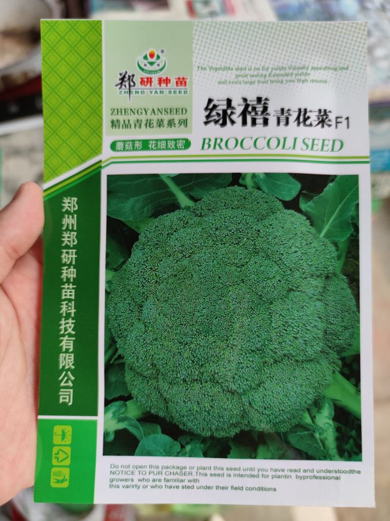 郑研绿禧西兰花种子，1000粒，花球浓绿，花蕾较细