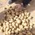 陕北沃土沙地土豆可装箱。可装袋价位合适纯沙地土豆