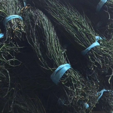 烘干优质干豆角大量有货发货全国保质保量