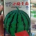 冰糖美都西瓜种子，50克