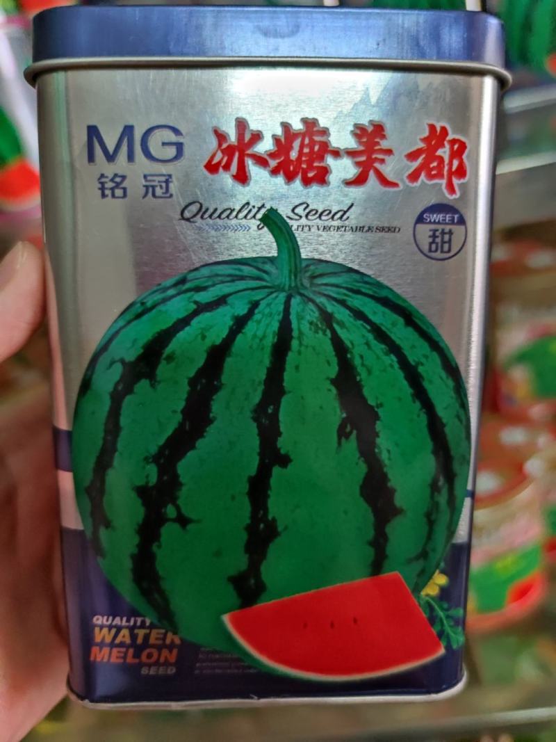 冰糖美都西瓜种子，50克