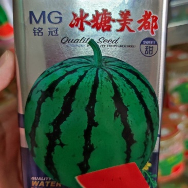 冰糖美都西瓜种子，50克