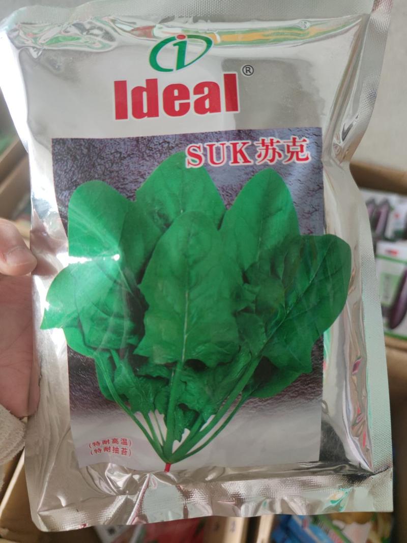 理想苏克菠菜种子，400克尖圆叶，叶片宽大肥厚，抗病