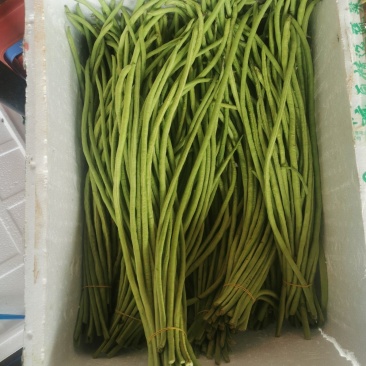长豆角