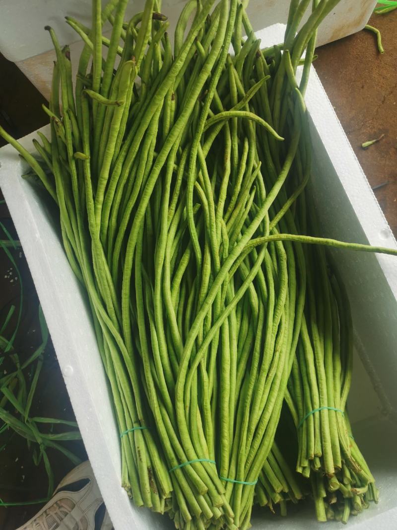 长豆角