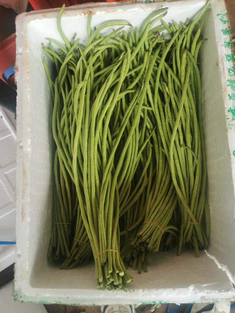 长豆角