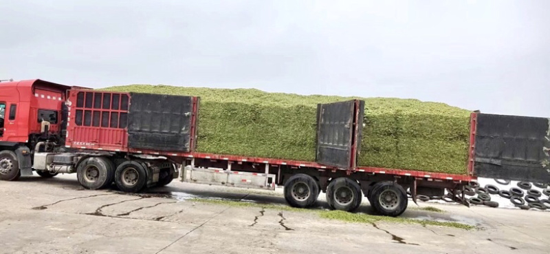毛豆皮青豆皮（毛豆皮）高蛋白适口性好育肥好