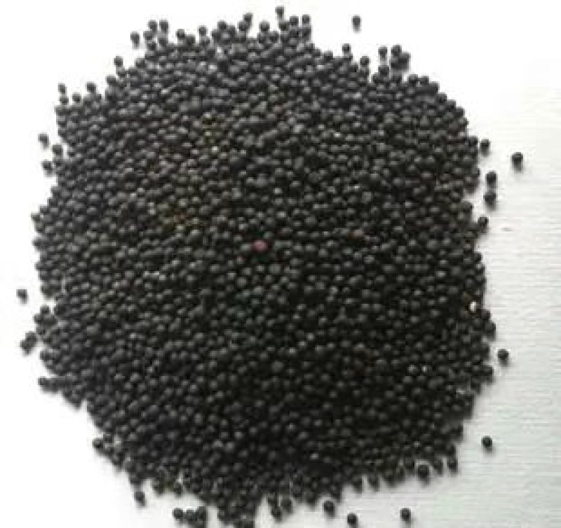 油菜籽出油率高颗粒饱满厂家直销货源充足品质保证