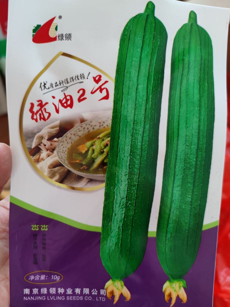 绿油2号丝瓜种子，10克，瓜皮绿色油亮