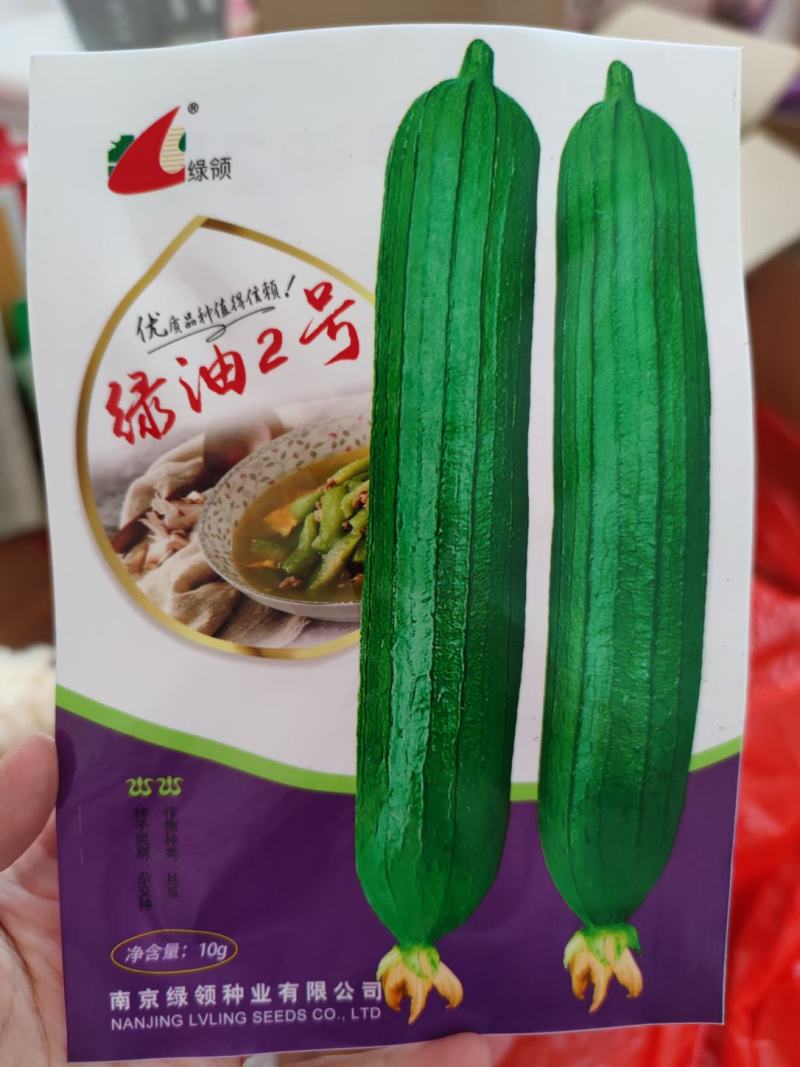 绿油2号丝瓜种子，10克，瓜皮绿色油亮