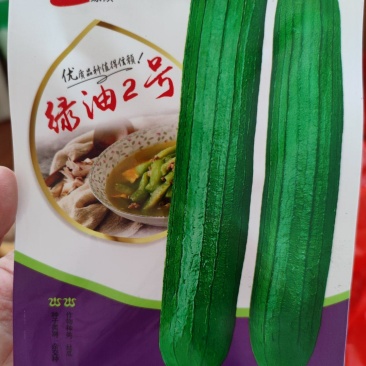 绿油2号丝瓜种子，10克，瓜皮绿色油亮