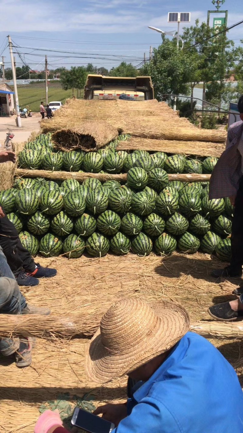 陕西甜王西瓜价格甜王西瓜批发，基地直供货源充足