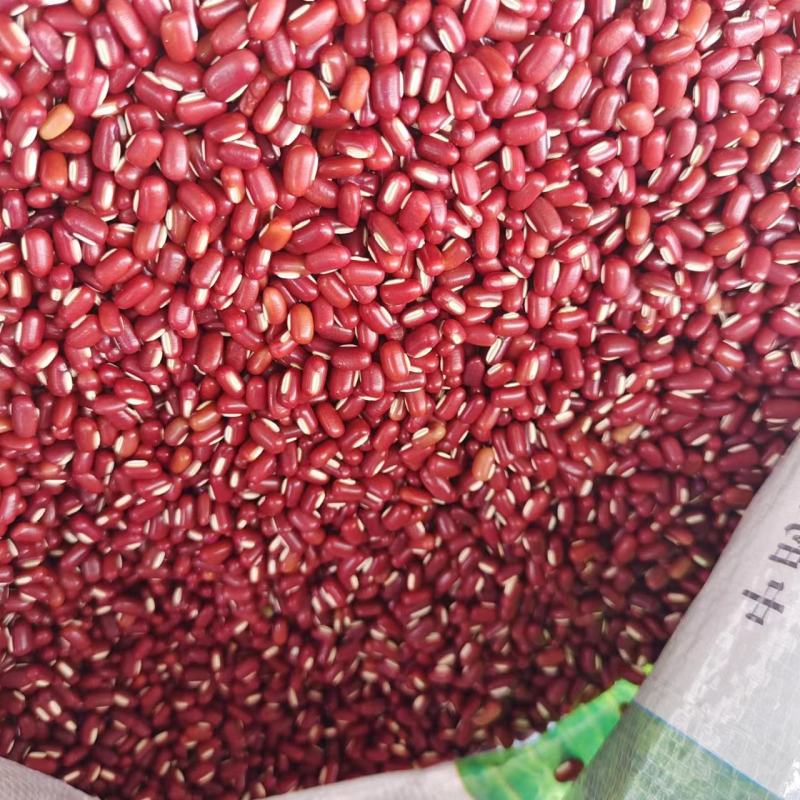赤小豆红竹豆豆非红豆正宗长粒赤豆饱满度现货批发