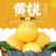 精品水蜜桃。黄金香，“热卖中”足斤足两，保质保量发往全国