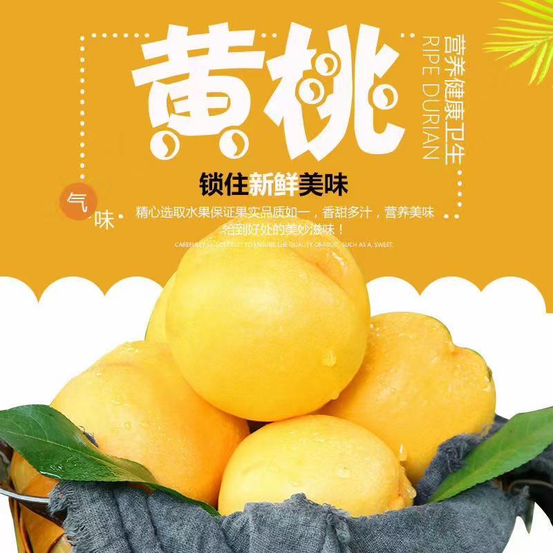 精品水蜜桃。黄金香，“热卖中”足斤足两，保质保量发往全国