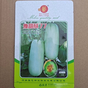 豫甜酥77甜瓜种子长势旺盛易管理亩产4200公斤果肉翠绿