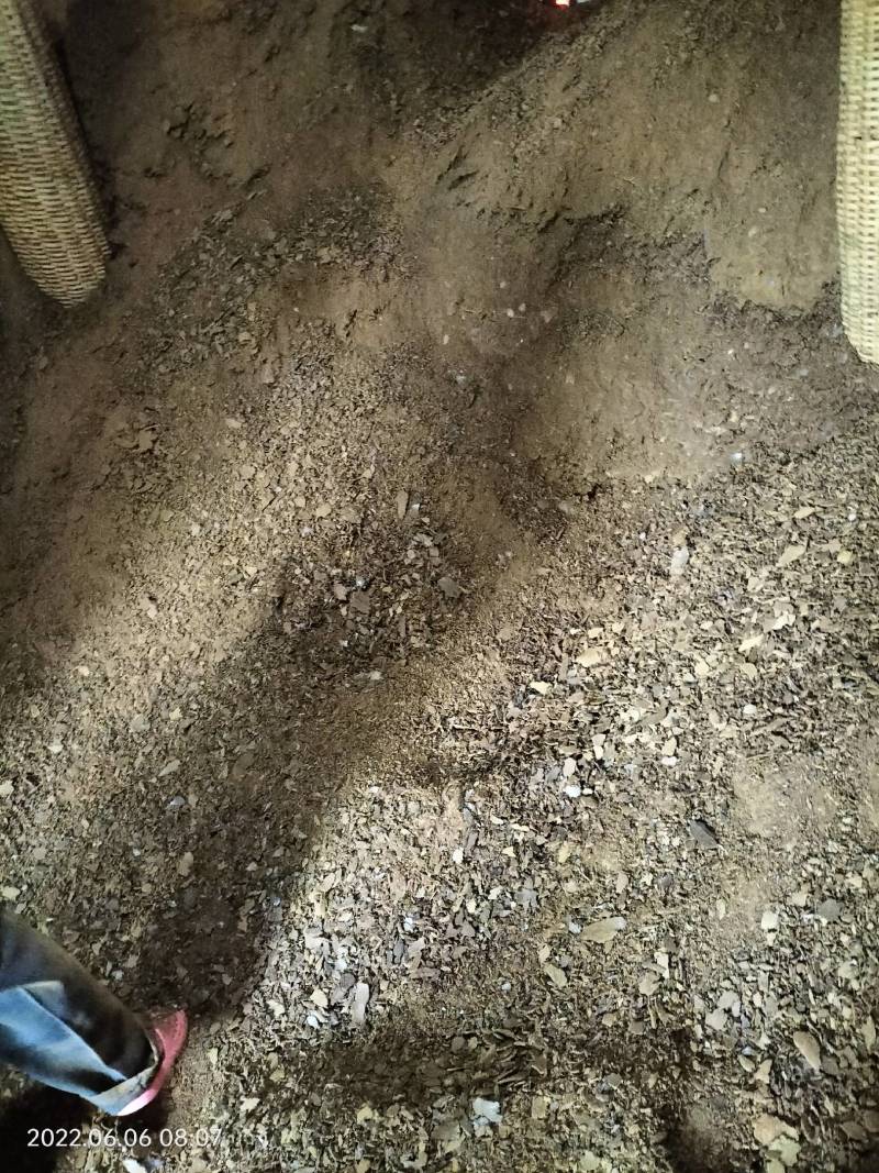 熟饼，上车价