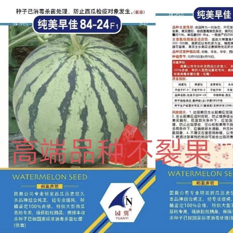 纯美早佳8424西瓜种子抗病抗裂含糖量高易管理商品性强