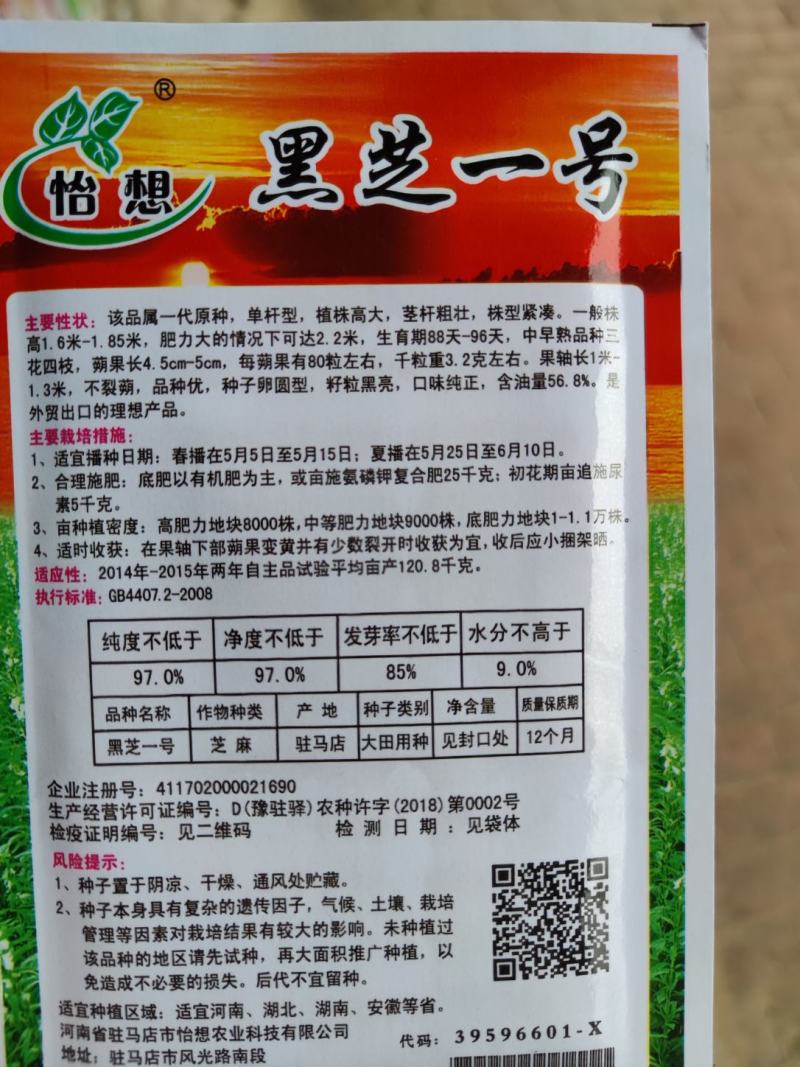 黑芝一号芝麻种子，40克