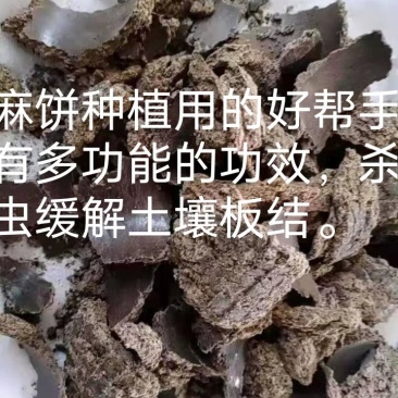 蓖麻饼种植用的好帮手，能杀虫，缓解土壤板结后期肥效棒棒的