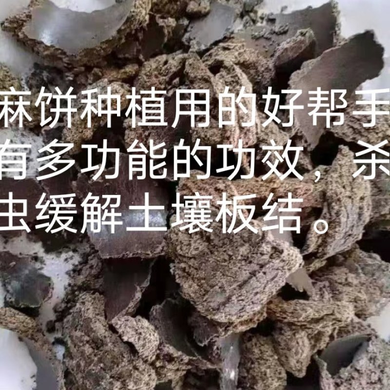 蓖麻饼种植用的好帮手，能杀虫，缓解土壤板结后期肥效棒棒的