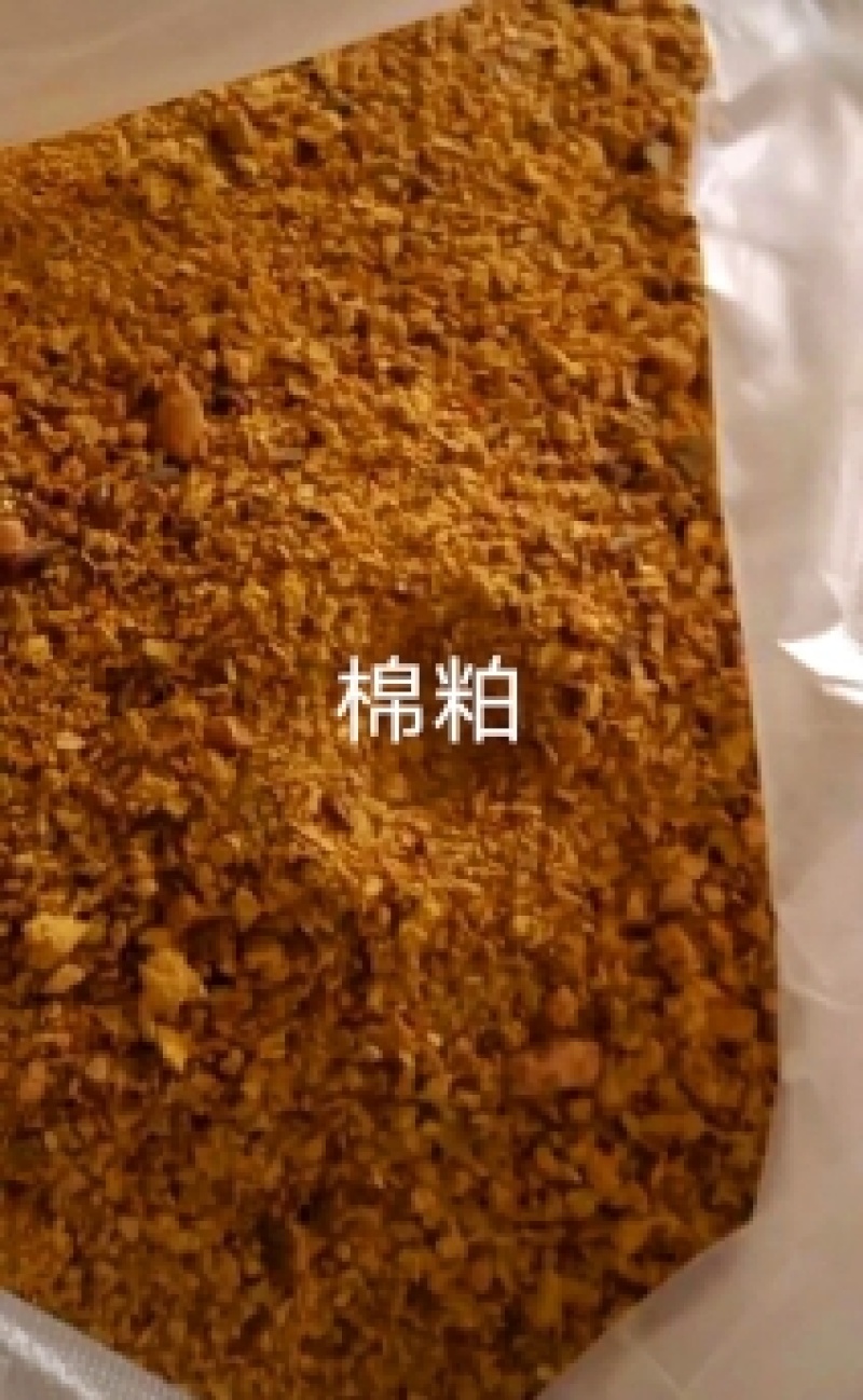蓖麻饼种植用的好帮手，能杀虫，缓解土壤板结后期肥效棒棒的